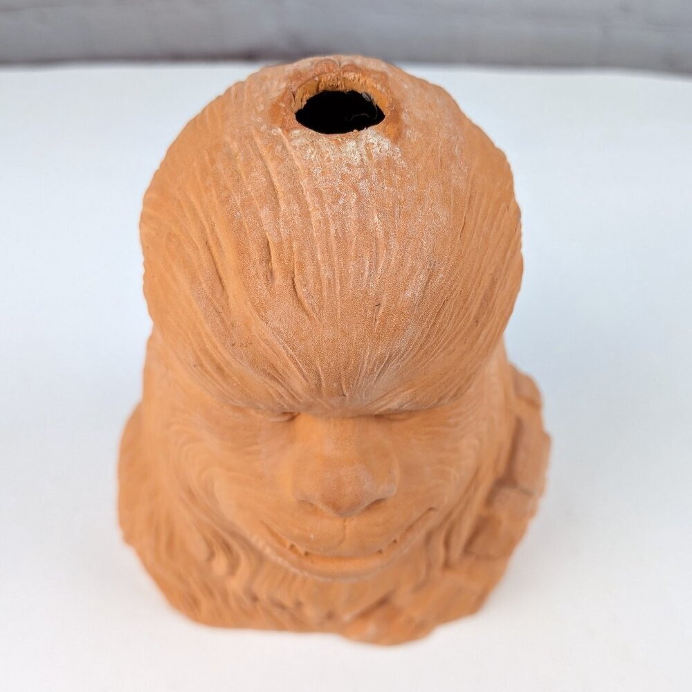 Star Wars Chewbacca Chia Pet Planter Head - Picture 2 of 7